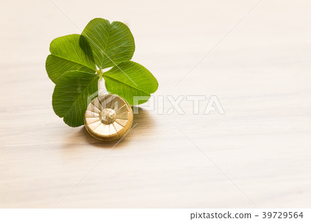 Clover Clover 39729564