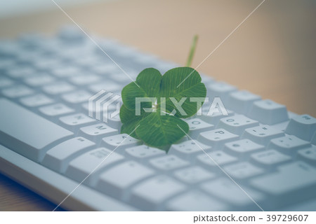 苜 苜 39729607
