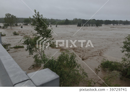 flood flood 39729741