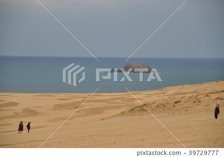 鳥取沙丘 鳥取沙丘 39729777