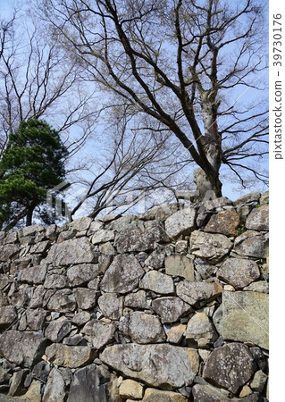 National Treasure Matsumoto Castle / Fushiki Castle (Ibaraki) Ishigaki 39730176