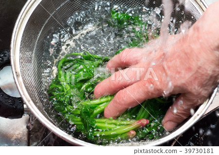 菠菜 39730181