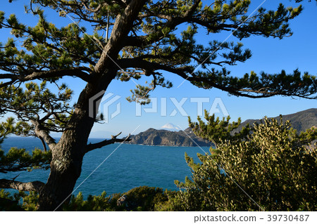 小金崎天文台的富士山 小金崎天文台的富士山 39730487