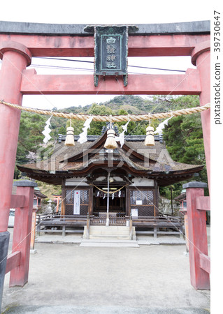Hakuto Shrine滋賀縣 Hakuto Shrine滋賀縣 39730647