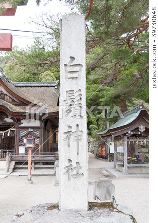 Hakuto Shrine滋賀縣 Hakuto Shrine滋賀縣 39730648