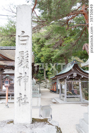 Hakuto Shrine滋賀縣 39730649
