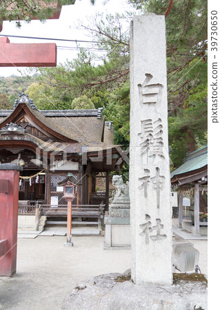 Hakuto Shrine滋賀縣 39730650