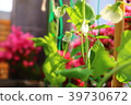 Fruitful harvest 39730672