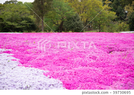 Chiba City Tomita Urban Agriculture Exchange Center Chiba City Tomita Urban Agriculture Exchange Center 39730695