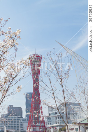 Kobe Meriken Park's Port Tower and Cherry and Oceanic Museum Kobe Meriken Park's Port Tower and Cherry and Oceanic Museum 39730985