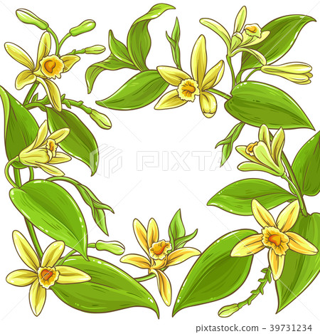 vanilla vector frame 39731234