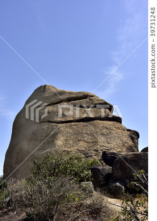 Prince Ogashi-Nikonikoiwa- 39731248