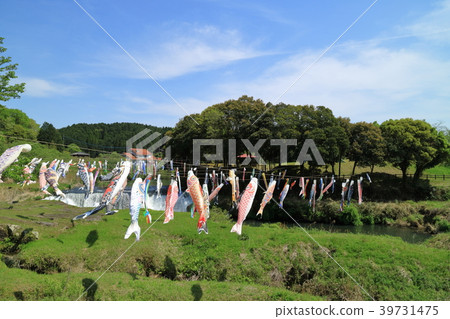 Yunoo Taki Koinobori Yunoo Taki Koinobori 39731475