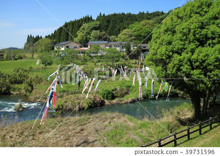 Yunoo Taki Koinobori Yunoo Taki Koinobori 39731596