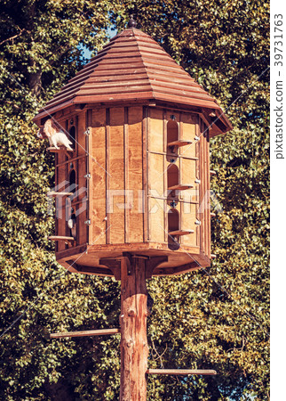 Wooden dovecote with pigeons in forest, red filter Wooden dovecote with pigeons in forest, red filter 39731763