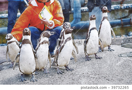 遊覽企鵝小樽水族館海水彩畫 39732265
