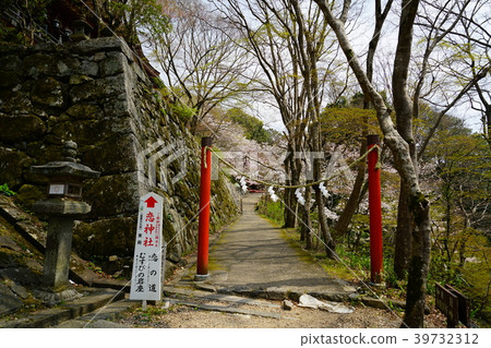 Setsuyama Shrine Sakura Nara Prefecture 39732312