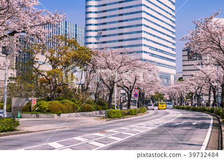 Landscape Of Yokohama City With Sakura Cherry Blossom, Japan Stock