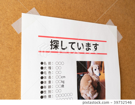 缺少寵物貼紙貼紙狗寵物 39732546