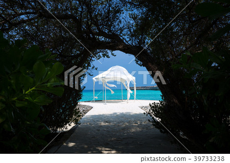 Sea view through tropical foliage 39733238