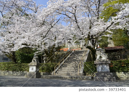 Keshō shrine 39733401