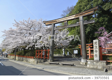Janisho Shrine Torii 39733501