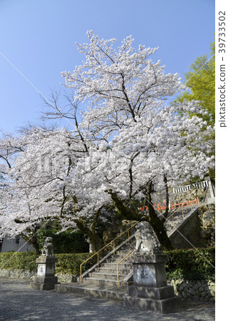 Jianho Shrine Approach 39733502