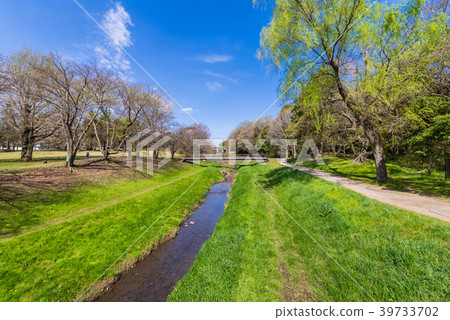 Scenery of Tokyo Musashino Nogawa Park 39733702