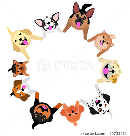 Circle of dogs sitting and looking up 39733981