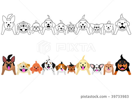 Circle of small dogs standing and looking up 39733983