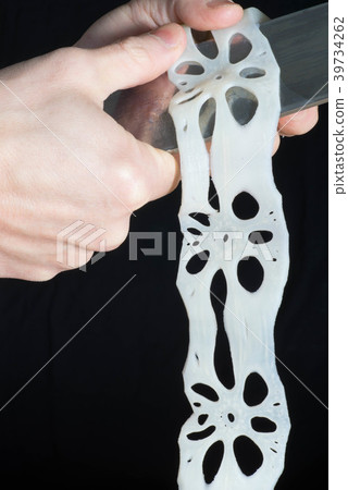 Katsura of lotus root 39734262