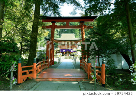 賣寺廟的新鮮的綠色onione寺廟 賣寺廟的新鮮的綠色onione寺廟 39734425