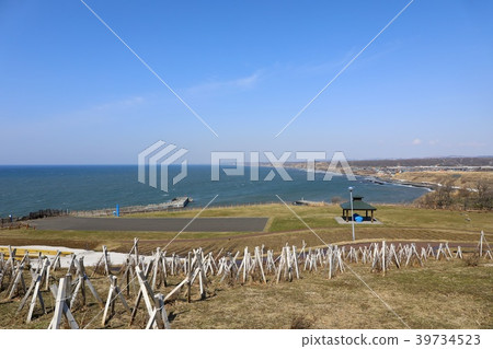 Misakidai公園,春天的第一座山 Misakidai公園,春天的第一座山 39734523