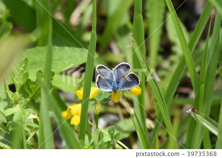 由翻譯提供支持 39735368
