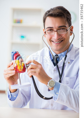 Doctor explaining the heart model  39735462