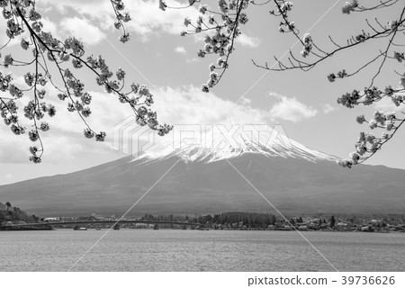 [單色]富士山和櫻川湖川口 39736626
