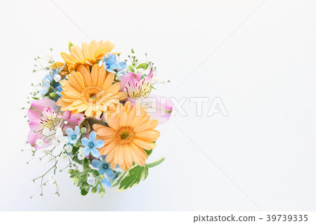 非洲菊的安排 39739335