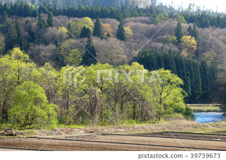 Satoyama spring 39739673