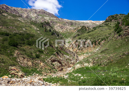 Gorge in the mountains, narrow ravine. Russia 39739825