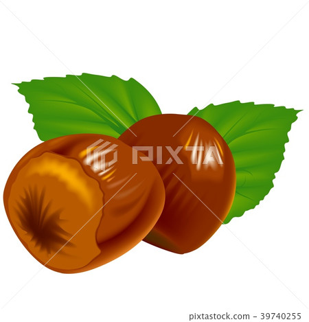 Hazelnuts and Leaves Hazelnuts and Leaves 39740255