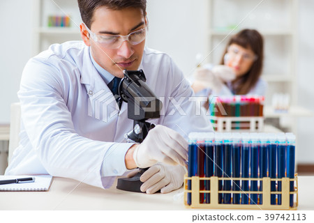Two chemists working in lab experimenting Two chemists working in lab experimenting 39742113