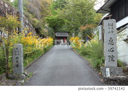 京都宇治市的Yamabuki Pref。 39742142