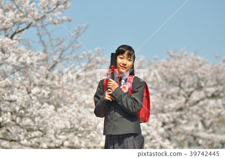六年級女孩(櫻花,畢業) 六年級女孩(櫻花,畢業) 39742445