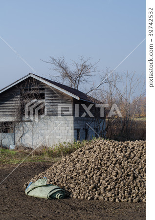 老小屋 老小屋 39742532