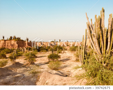 beautiful desert landscape with red rock mountain  39742675