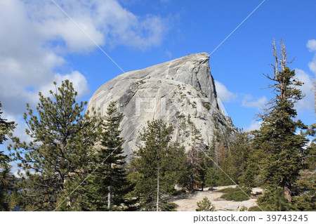 Half Dome of Yosemite National Park 39743245