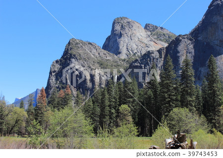 春天優勝美地山谷 39743453