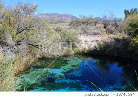 阿什梅多斯國家野生動物保護區 阿什梅多斯國家野生動物保護區 39743584