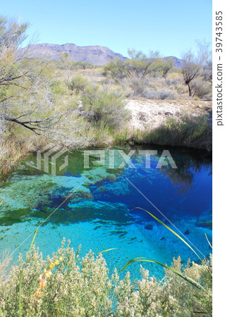 阿什梅多斯國家野生動物保護區 39743585