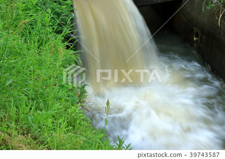 下雨後運河 下雨後運河 39743587